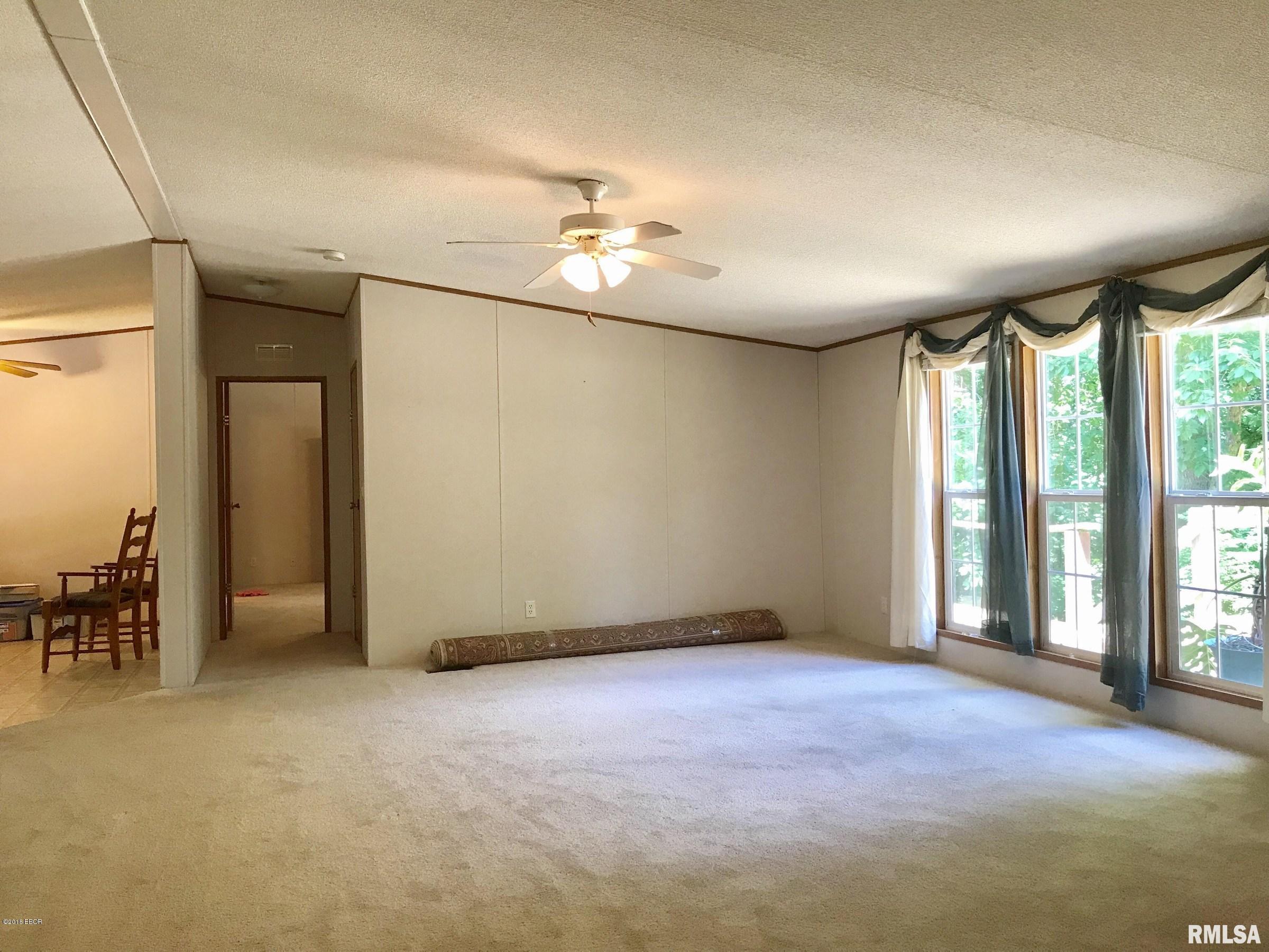 4538 Giant City Road Carbondale, IL 62902 - Photo 8 of 50