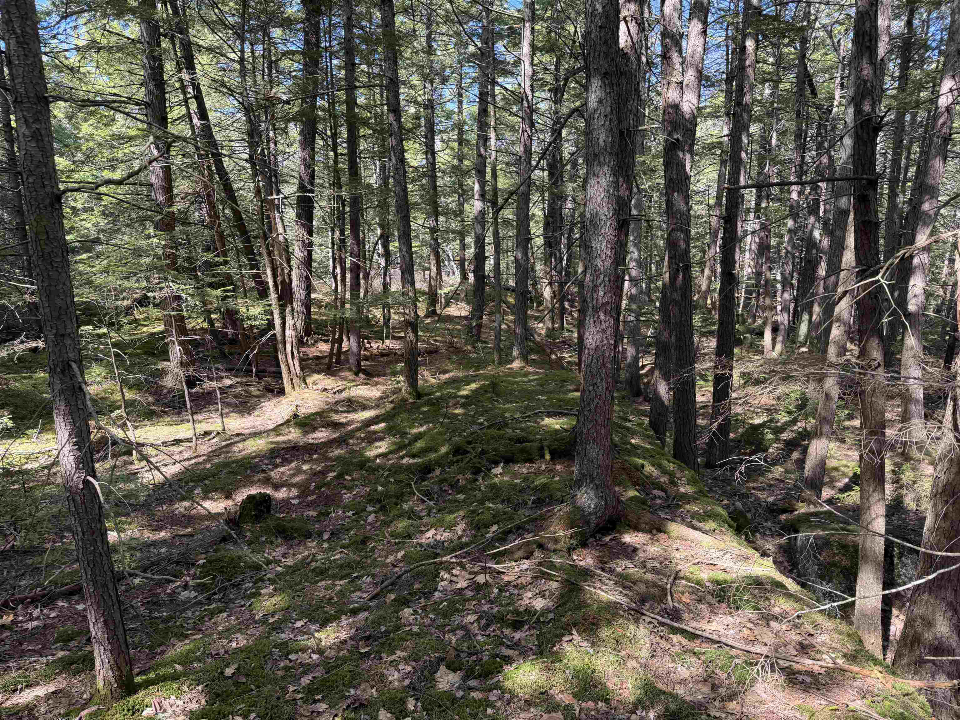 R29-l9 Roxbury Road, Unit LOT 9 Meredith, NH 03253 - Photo 31 of 36