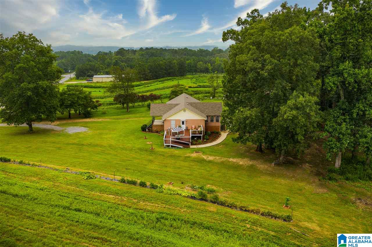 3408 Highway 1 Oneonta Al Oneonta, AL 35121 - Photo 43 of 50