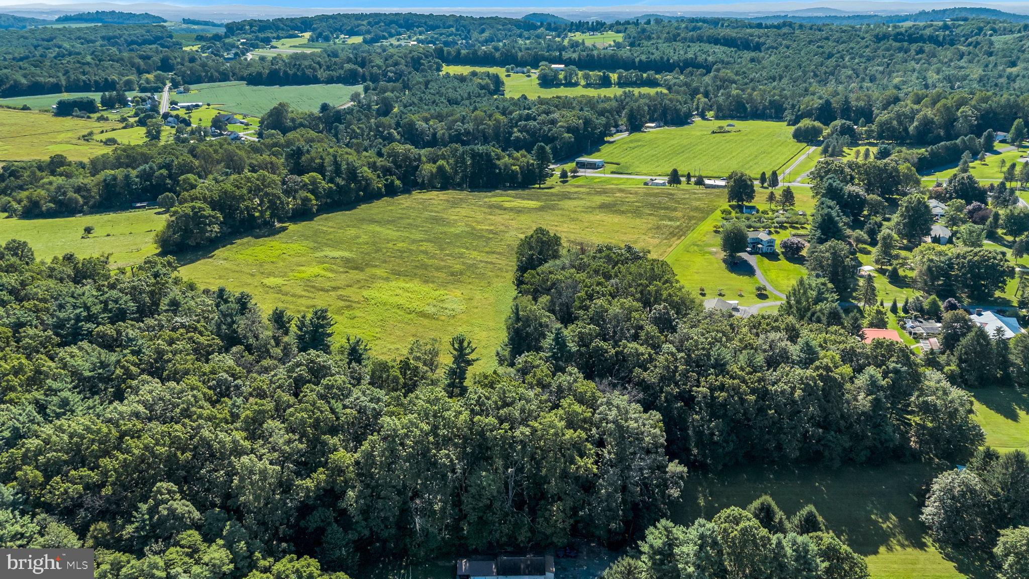 Lush green fields meet serene woodlands.