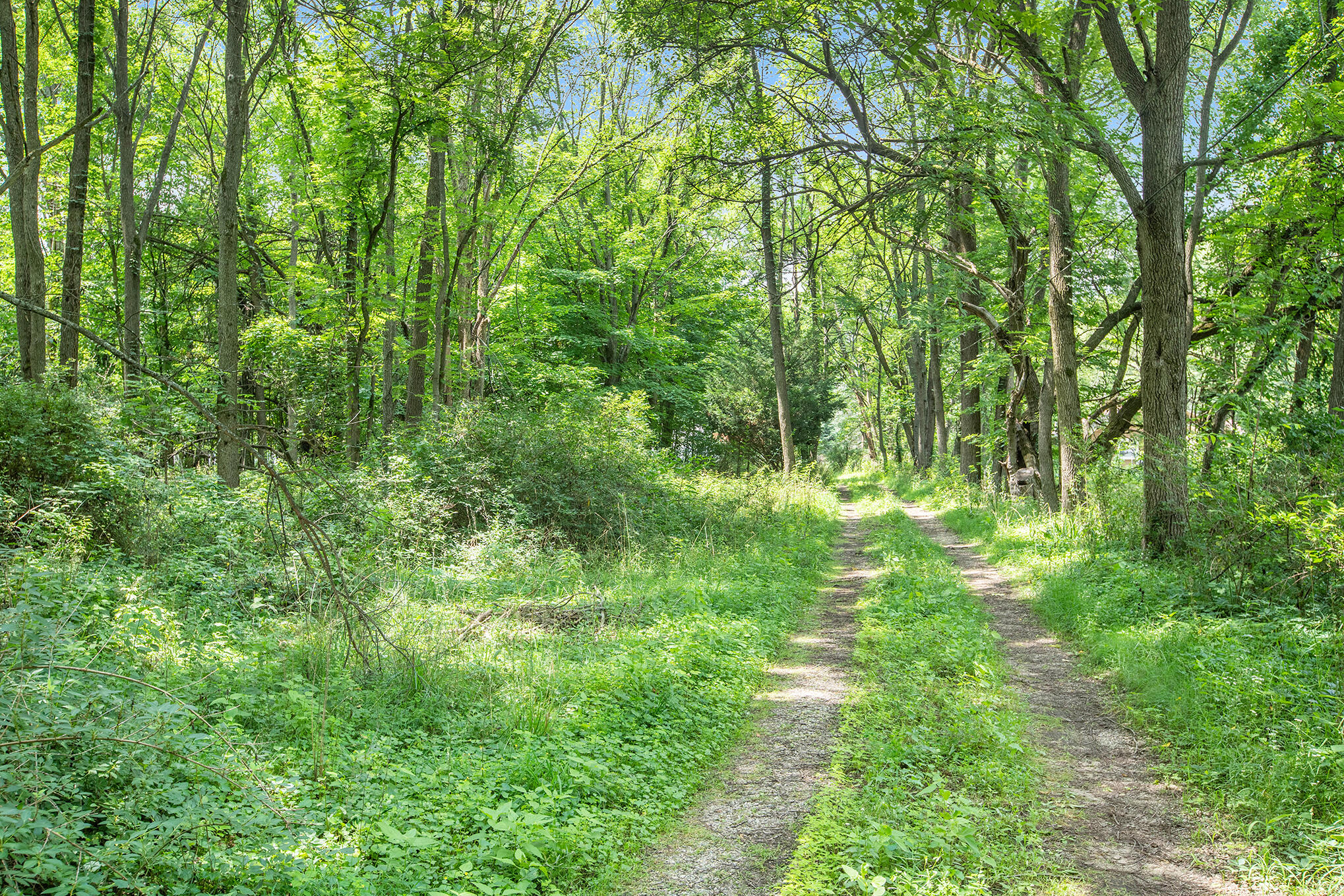 3806 Nazareth Road Kalamazoo, MI 49004 - Photo 11 of 20 11