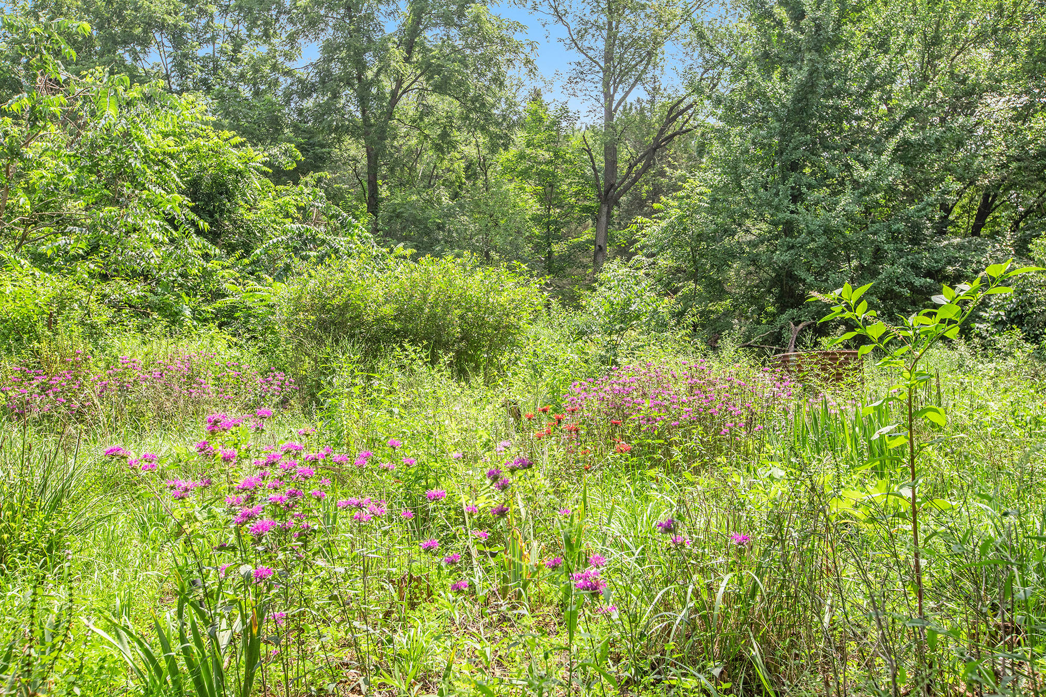 3806 Nazareth Road Kalamazoo, MI 49004 - Photo 12 of 20 12