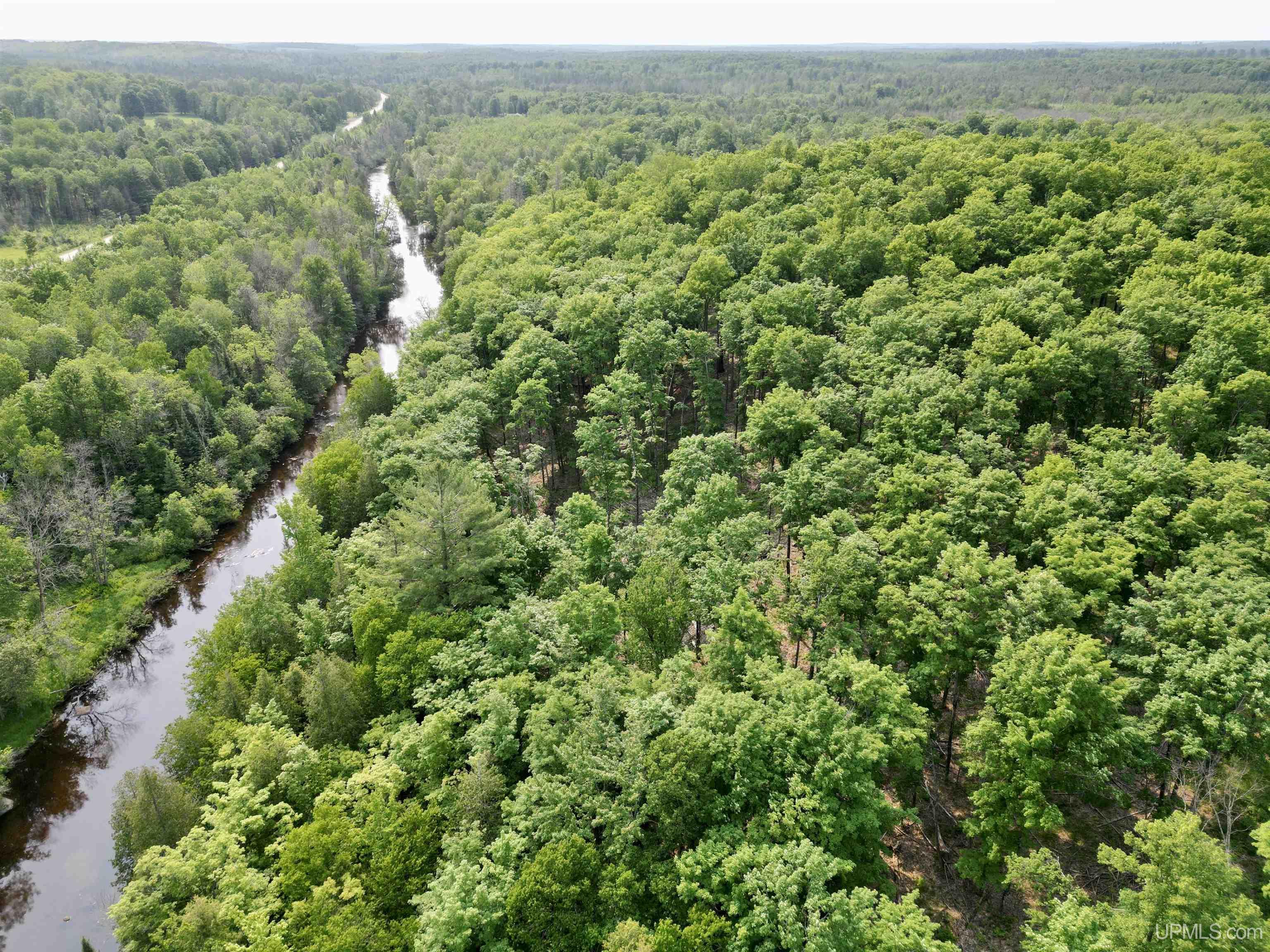Nine Rd Felch Mi 49831 Road Felch, MI 49831 - Photo 4 of 16