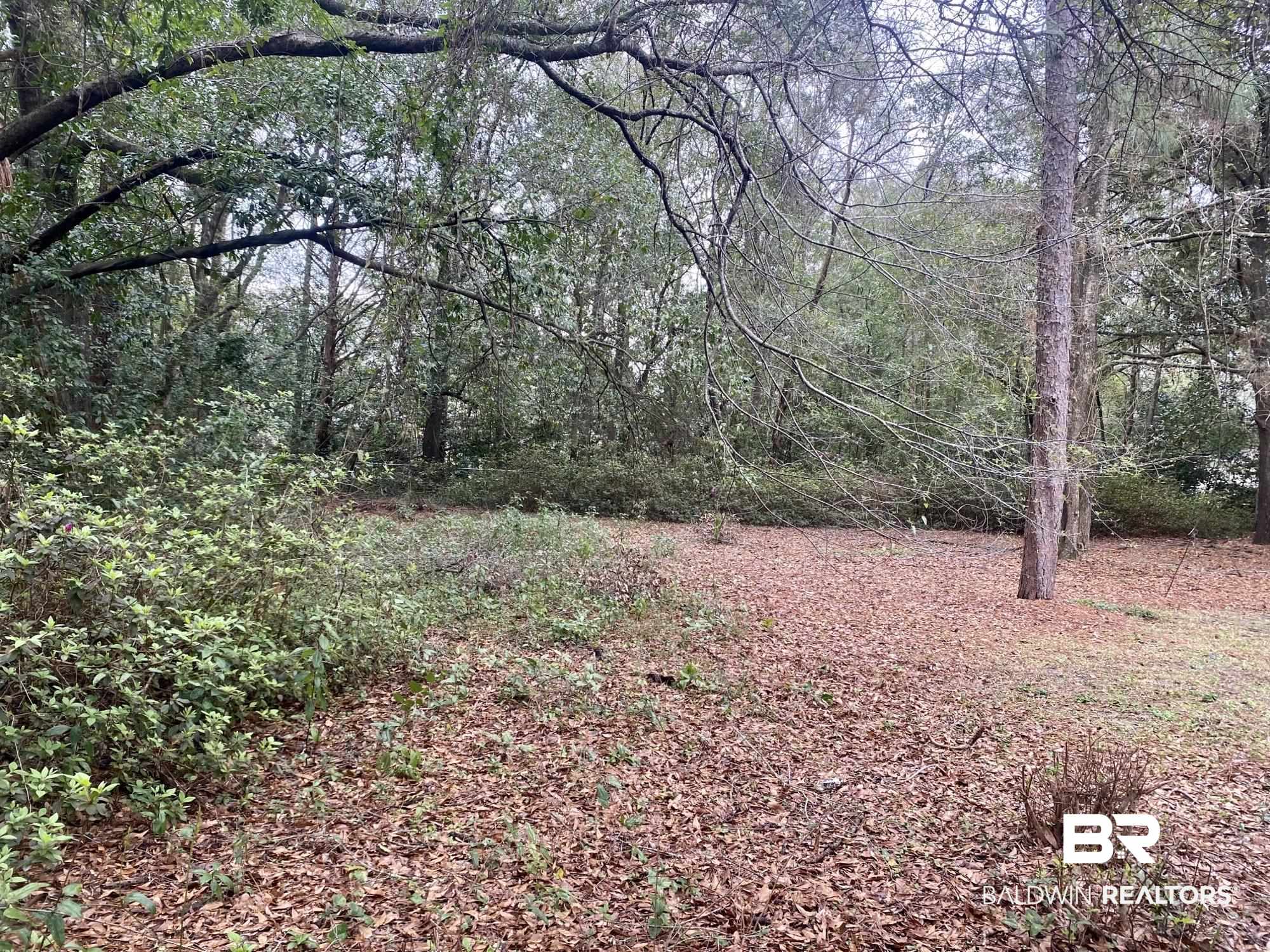325 Bomar Place Mobile, AL 36609 - Photo 13 of 15