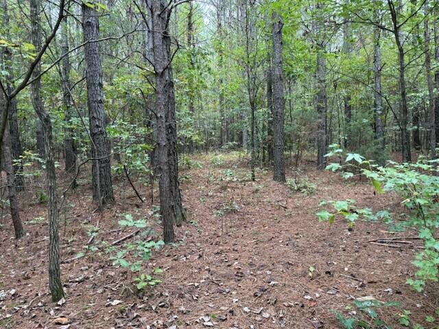 6 Fagin Road, Unit 6 Madisonville, TN 37354 - Photo 1 of 17 1