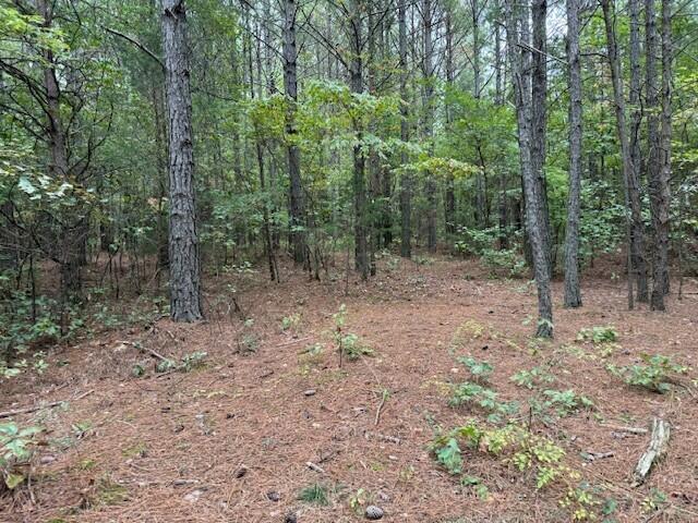 6 Fagin Road, Unit 6 Madisonville, TN 37354 - Photo 2 of 17 10