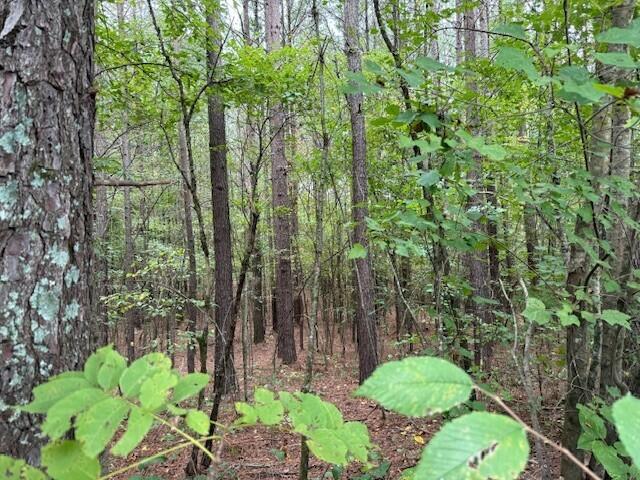 6 Fagin Road, Unit 6 Madisonville, TN 37354 - Photo 5 of 17 5