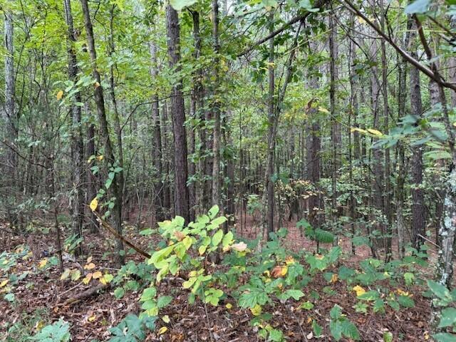 6 Fagin Road, Unit 6 Madisonville, TN 37354 - Photo 6 of 17 6