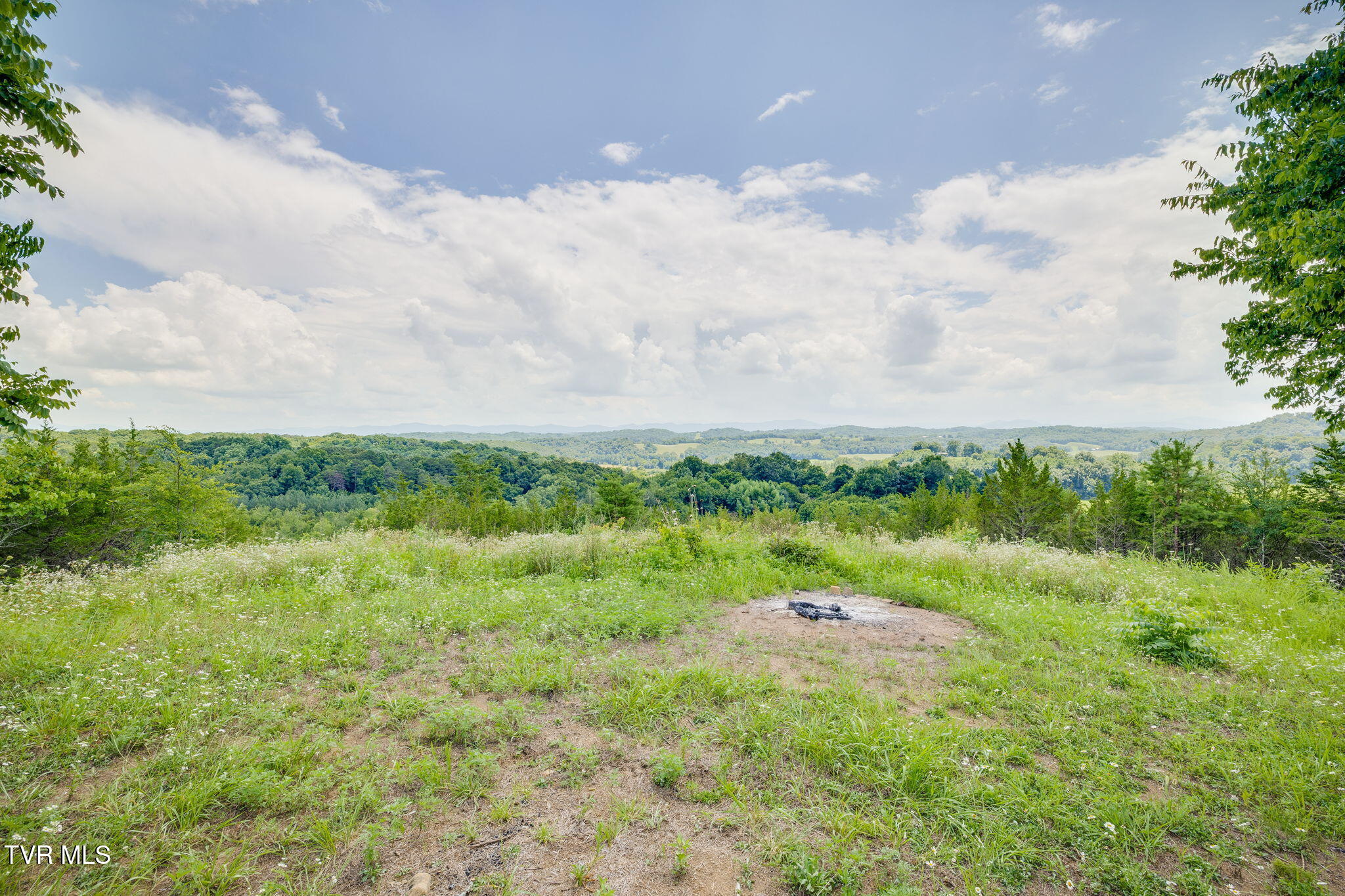 1355 Jackson Hollow Road Mosheim, TN 37818 - Photo 46 of 95 045