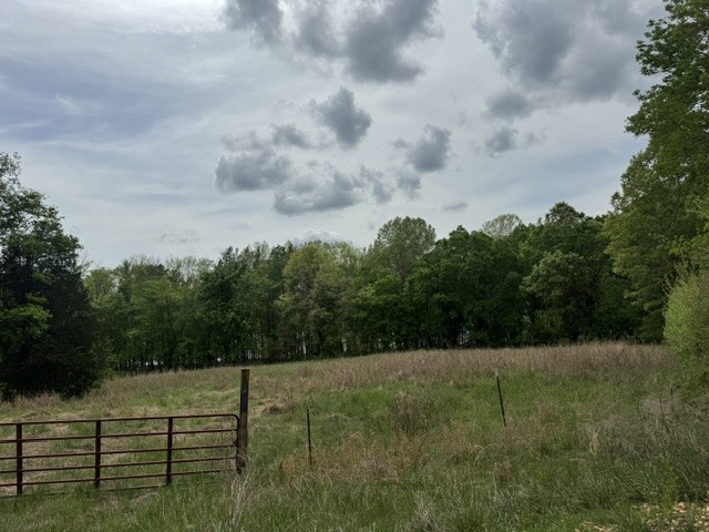 637 Hargis Road Bumpus Mills, TN 37028 - Photo 10 of 17