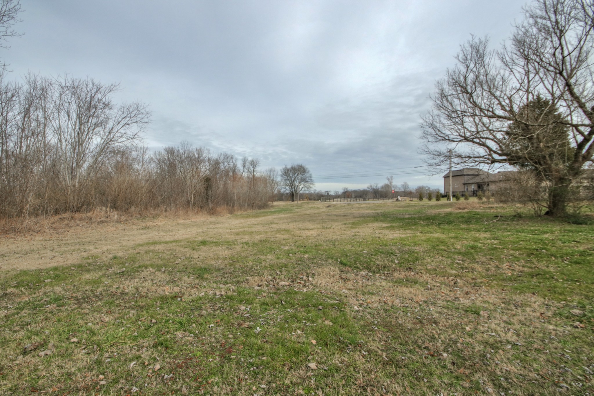 3885 Kedron Road Spring Hill, TN 37174 - Photo 22 of 32 a view of a field of grass and trees