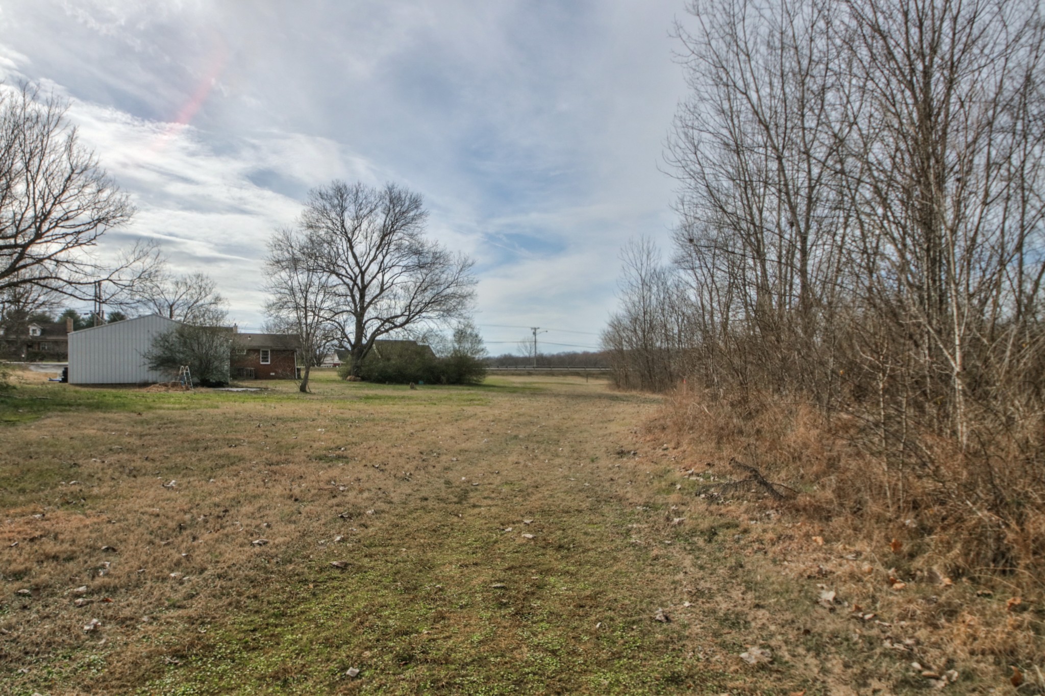 3885 Kedron Road Spring Hill, TN 37174 - Photo 23 of 32 a view of a yard with an trees