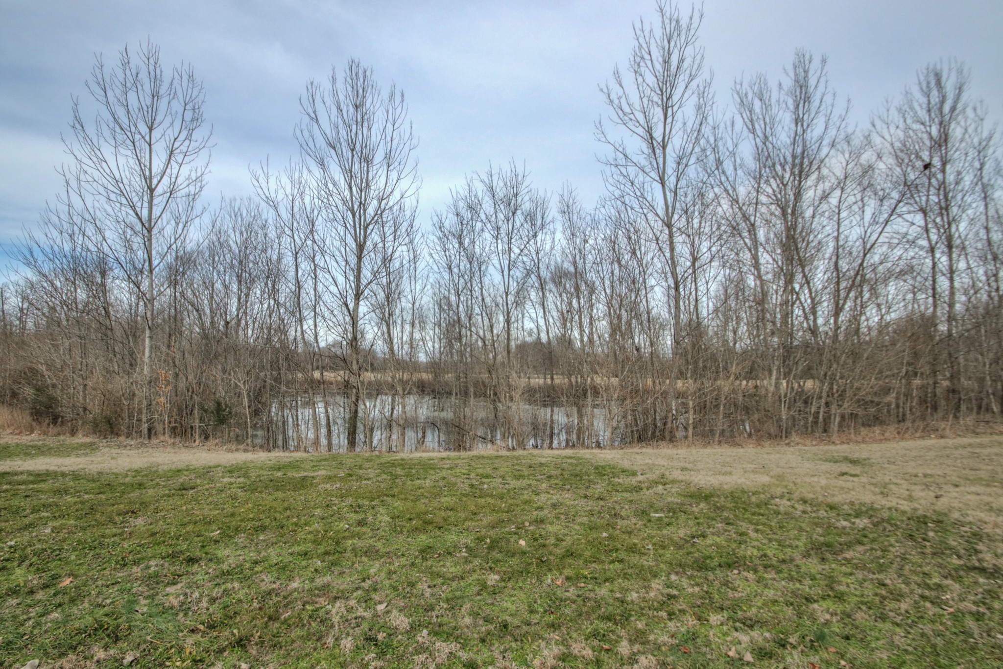3885 Kedron Road Spring Hill, TN 37174 - Photo 24 of 32 a garden view