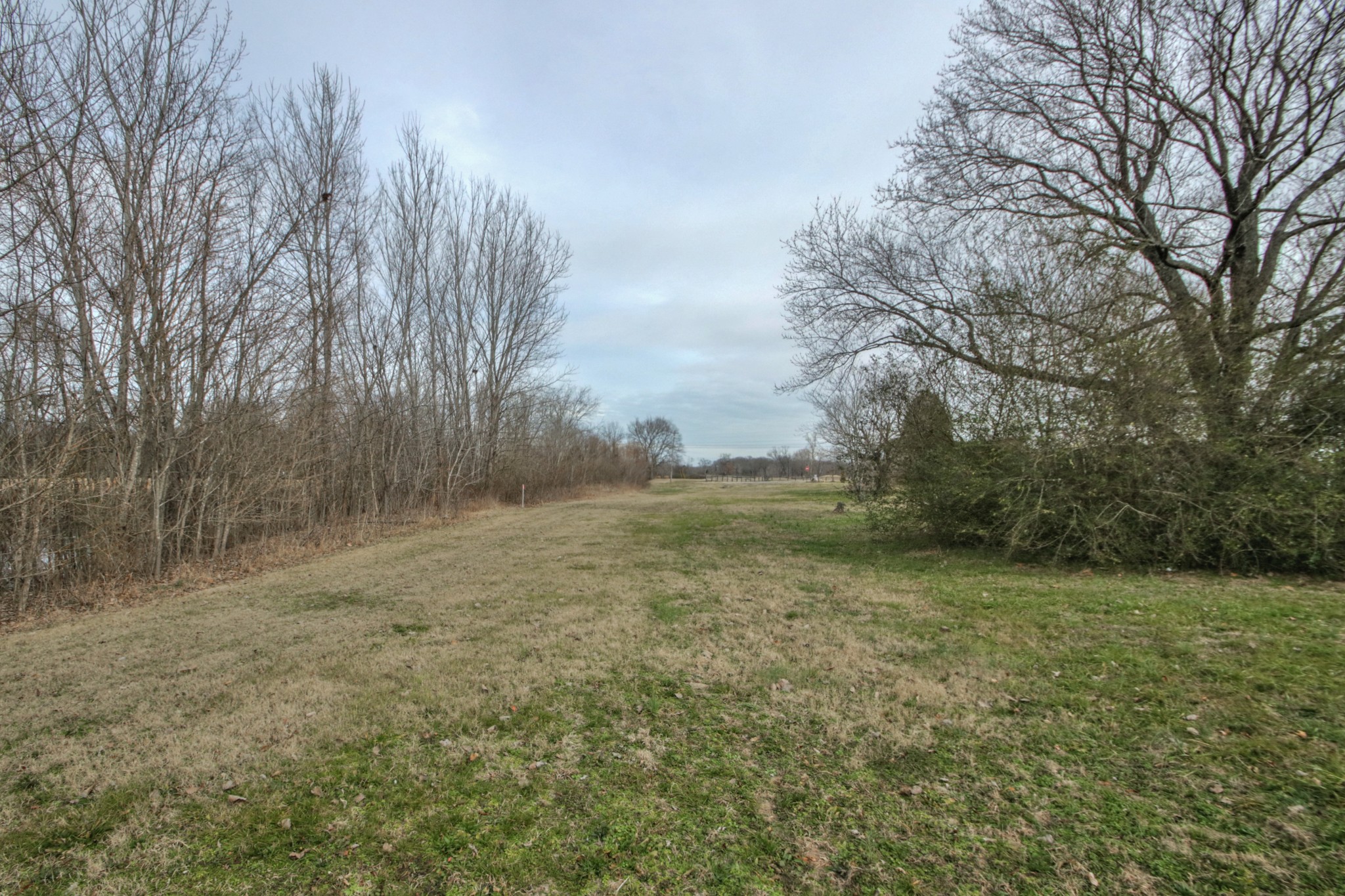 3885 Kedron Road Spring Hill, TN 37174 - Photo 25 of 32 a view of a field with trees in the background