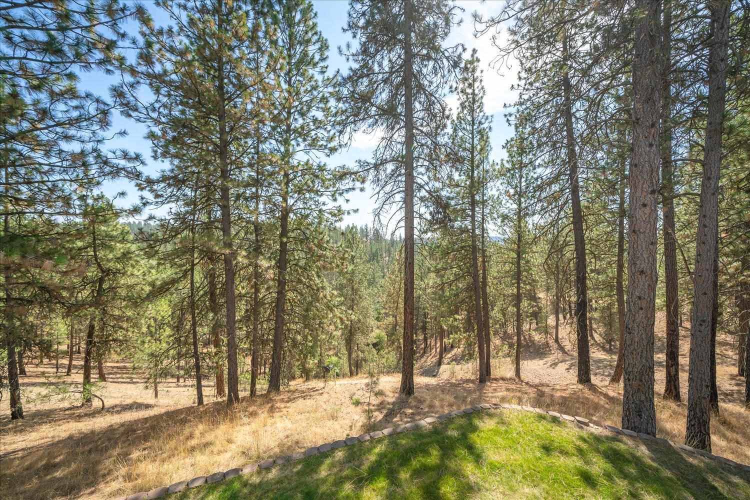 12025 South Baltimore Road Spokane, WA 99223 - Photo 36 of 48 Gallery Image 36