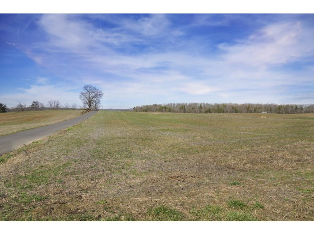 0 Reece Road Chuckey, TN 37641 - Photo 3 of 4 Photo 3