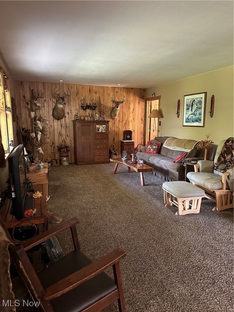 48864 Dry Ridge Road Clarington, OH 43915 - Photo 15 of 49 Living room featuring carpet flooring and wood walls