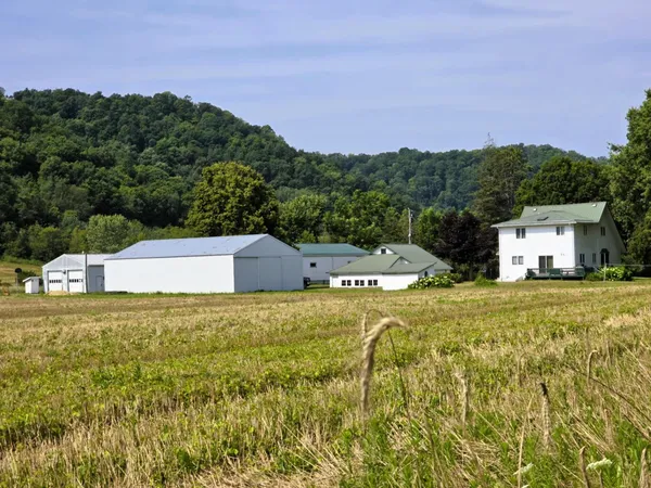 $695,000 | 47298 Honey Farm Road, Gays Mills, WI 54631