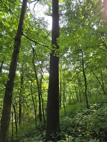 $725,000 | 47298 Honey Farm Road, Gays Mills, WI 54631