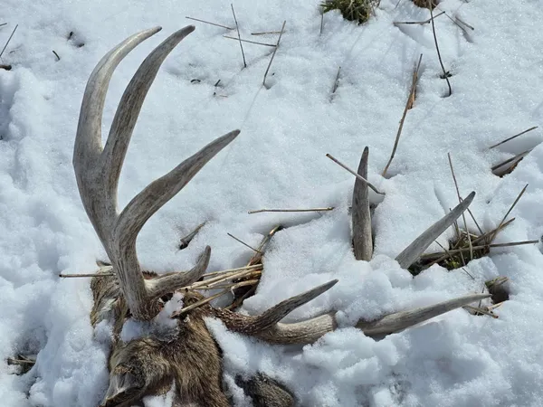 $695,000 | 47298 Honey Farm Road, Gays Mills, WI 54631