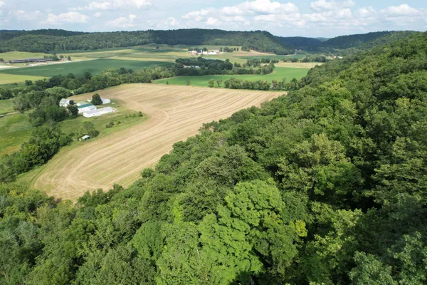 $695,000 | 47298 Honey Farm Road, Gays Mills, WI 54631