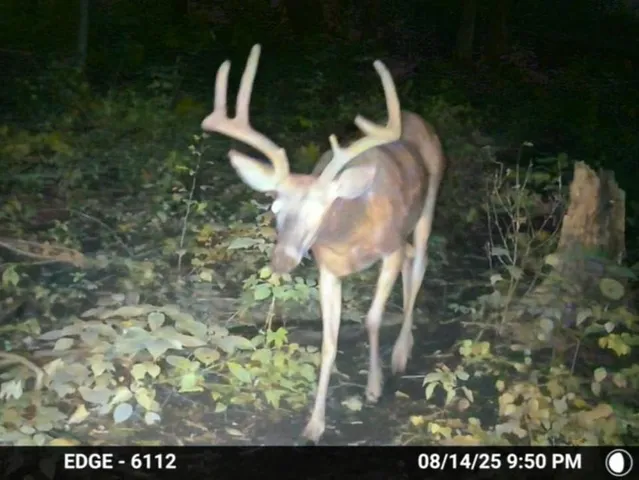 $725,000 | 47298 Honey Farm Road, Gays Mills, WI 54631