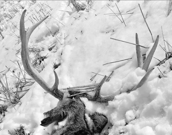 $695,000 | 47298 Honey Farm Road, Gays Mills, WI 54631