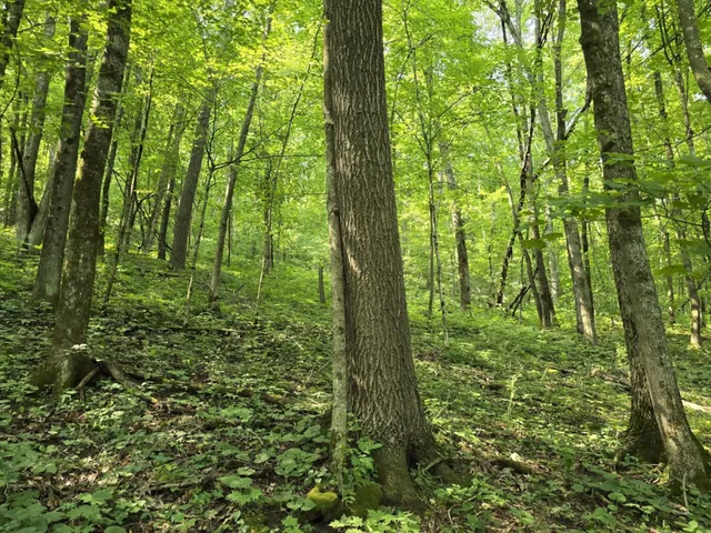 $725,000 | 47298 Honey Farm Road, Gays Mills, WI 54631