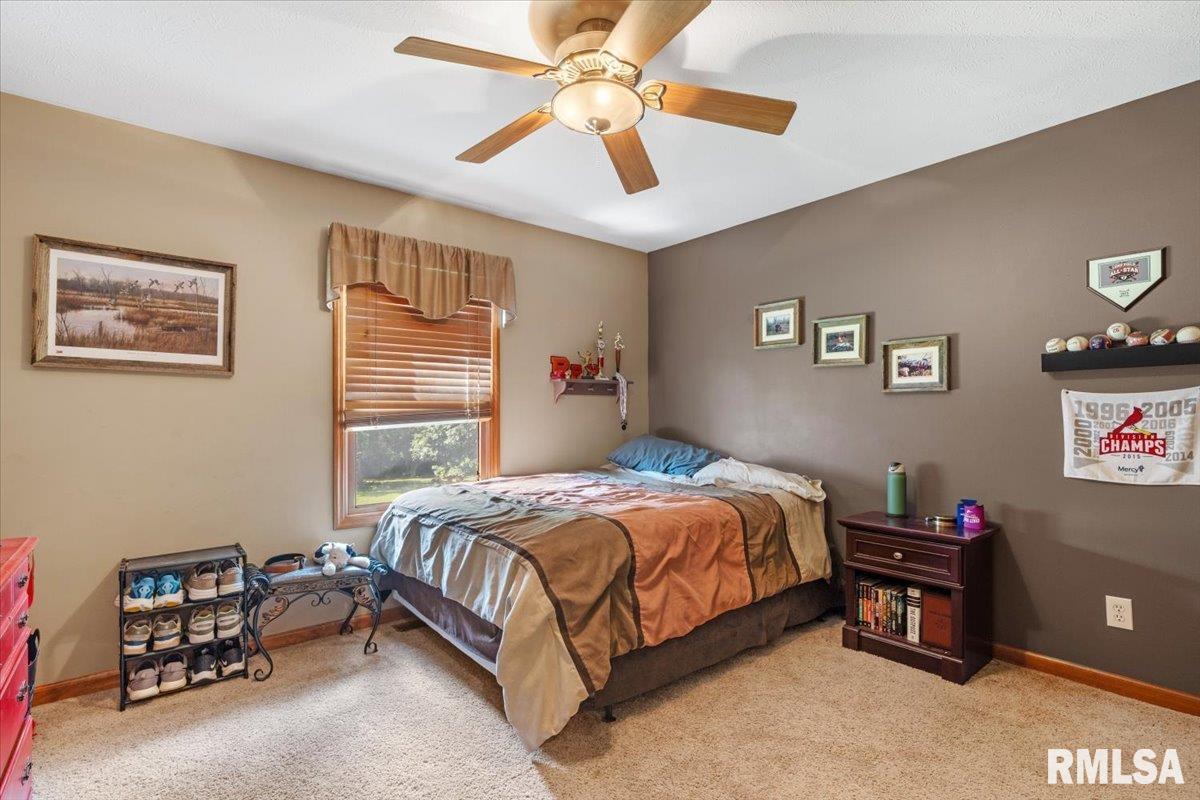 415 Spring Ridge Rochester, IL 62563 - Photo 29 of 48