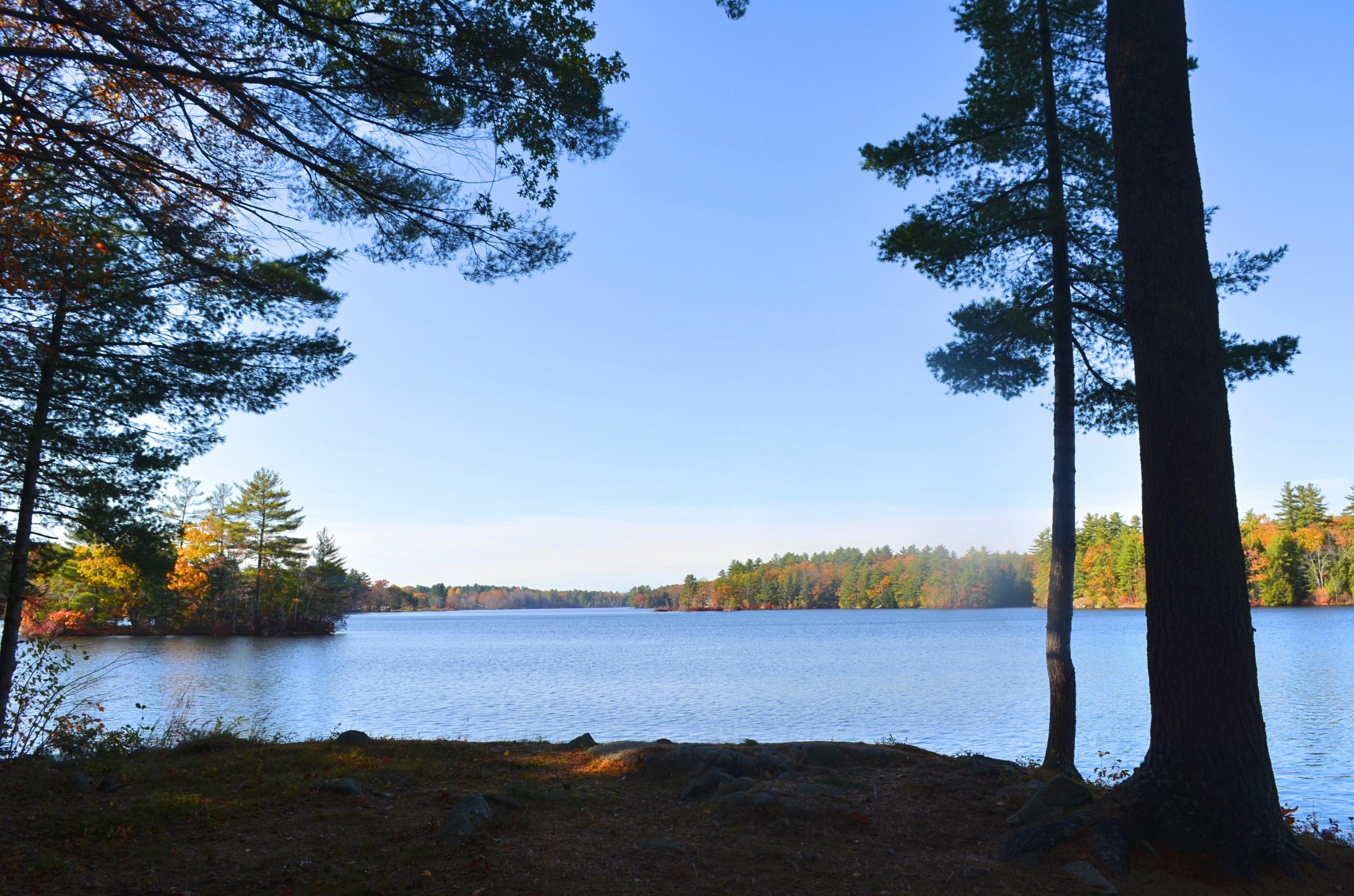 77 Brown Road Sanford, ME 04073 - Photo 7 of 25 DSC_0121