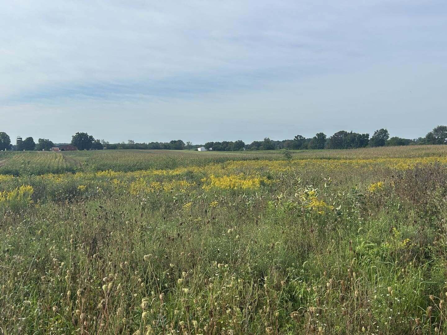 V/l Warner Road Concord, MI 49237 - Photo 7 of 7 war7