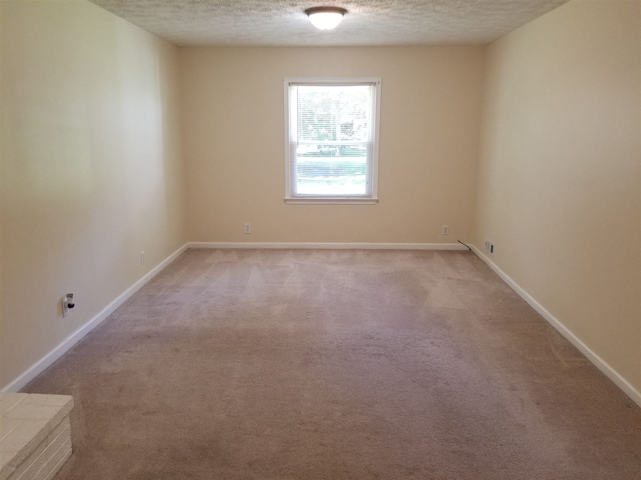 8150 Briery Branch Road Dayton, VA 22821 - Photo 15 of 30 Carpet, fireplace with wood stove insert