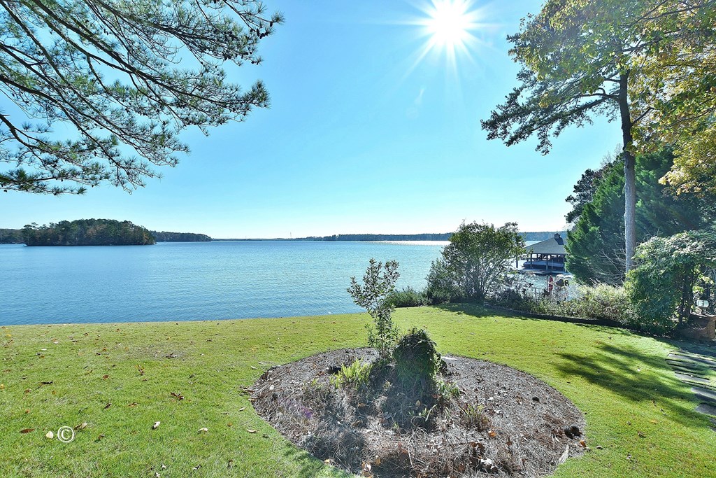 353 Pinetree Road Hamilton, GA 31811 - Photo 14 of 34 Water View From the Lawn