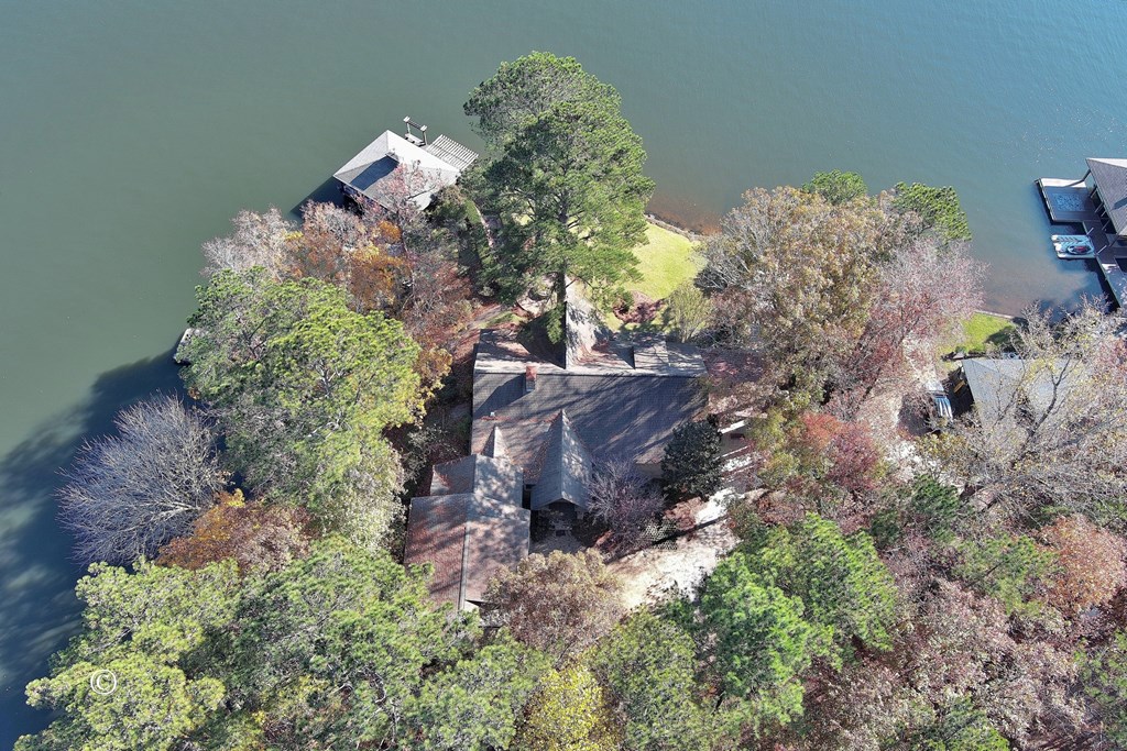 353 Pinetree Road Hamilton, GA 31811 - Photo 9 of 34 Aerial View Of The Property