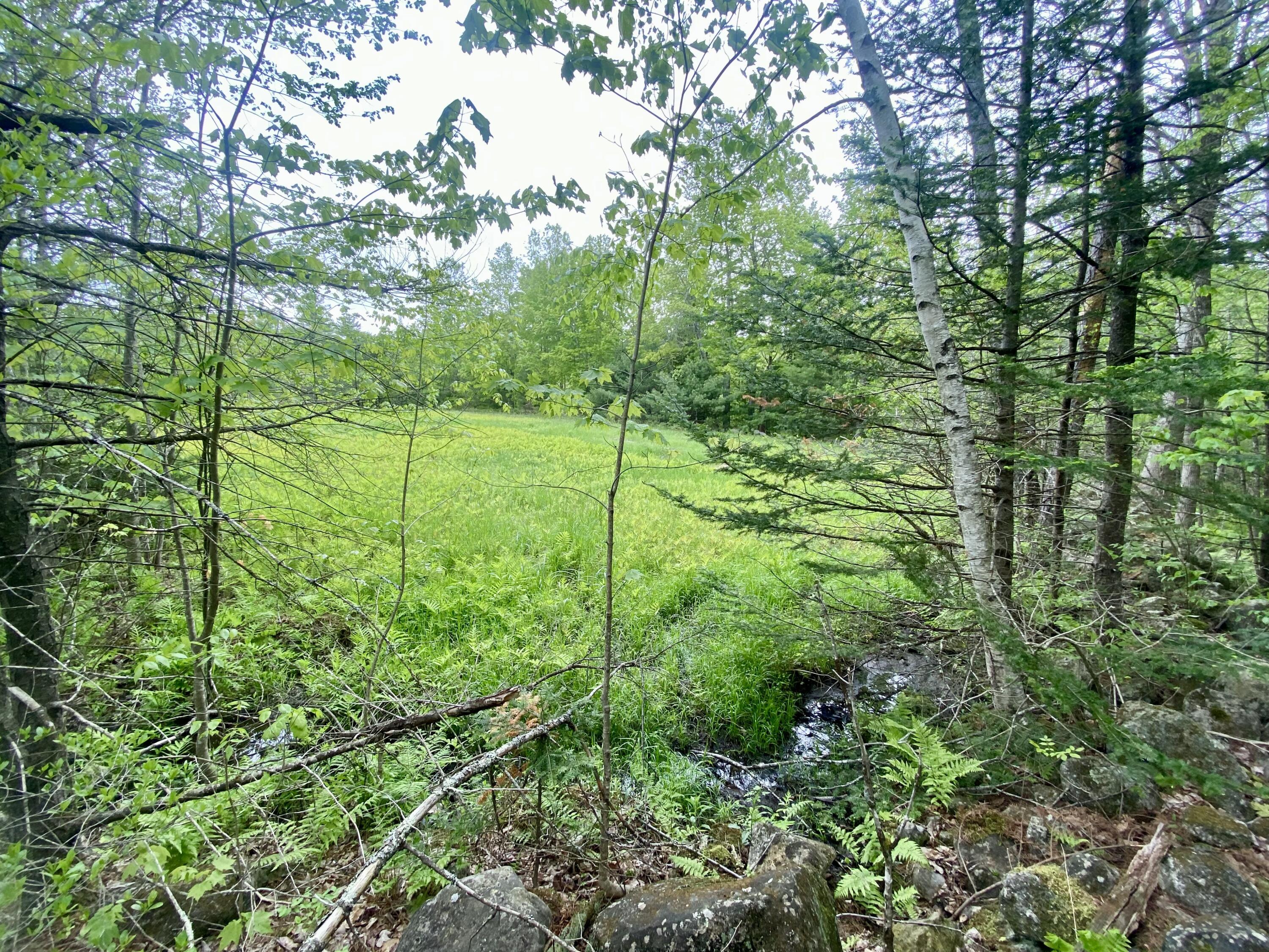 43-1a Doles Ridge Road Limerick, ME 04048 - Photo 5 of 6 IMG_2834