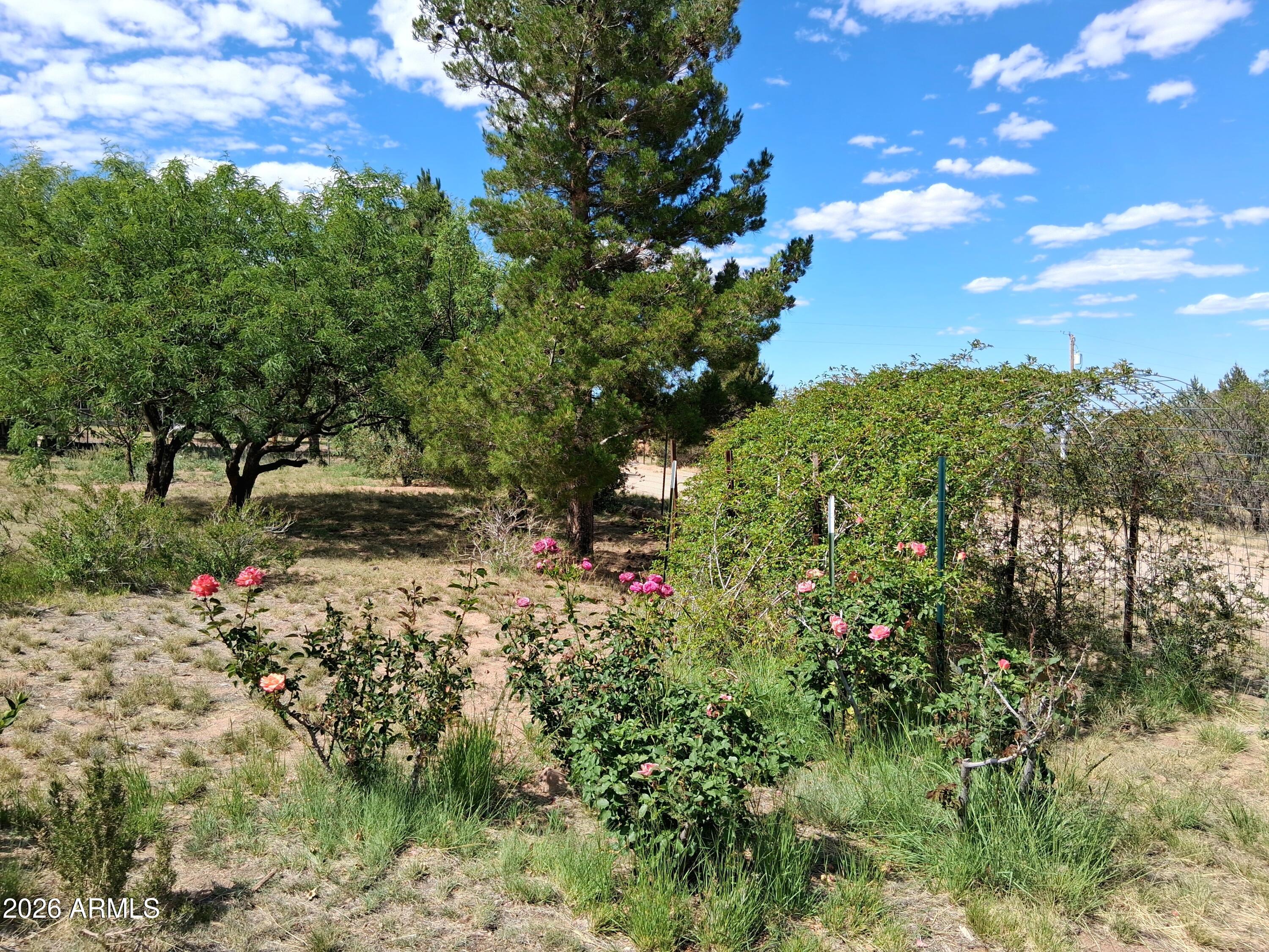 4510 East Wickersham Road Hereford, AZ 85615 - Photo 47 of 63 20260509_145702