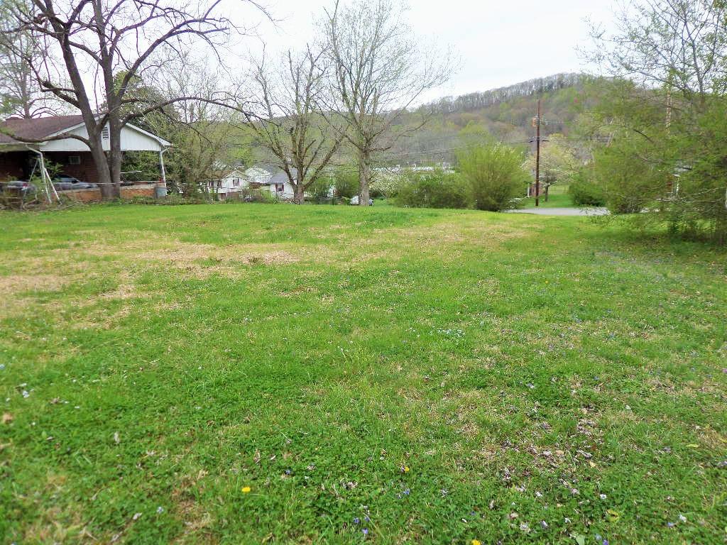 117 Houston Avenue Oak Ridge, TN 37830 - Photo 3 of 11 SAM_0350