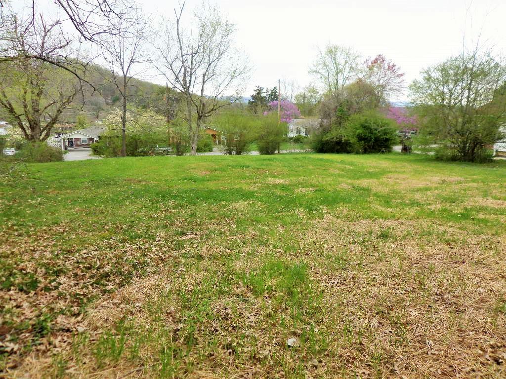 117 Houston Avenue Oak Ridge, TN 37830 - Photo 4 of 11 SAM_0351