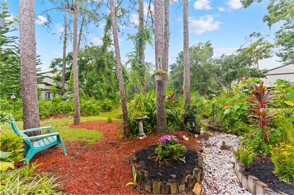 250 Woods Landing Trail Oldsmar, FL 34677 - Photo 22 of 45 a view of a backyard with potted plants and large trees