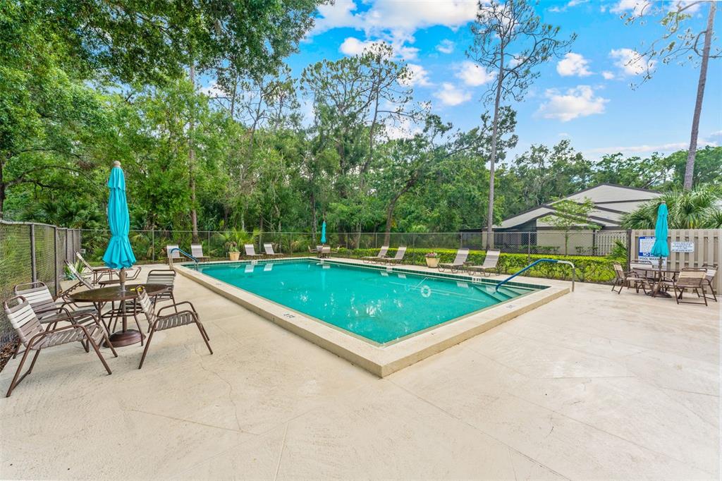 250 Woods Landing Trail Oldsmar, FL 34677 - Photo 33 of 45 a view of swimming pool with chairs