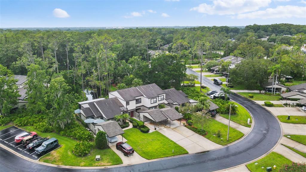 250 Woods Landing Trail Oldsmar, FL 34677 - Photo 37 of 45 an aerial view of residential houses with outdoor space and trees