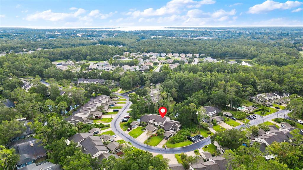 250 Woods Landing Trail Oldsmar, FL 34677 - Photo 40 of 45 an aerial view of residential houses with outdoor space and trees