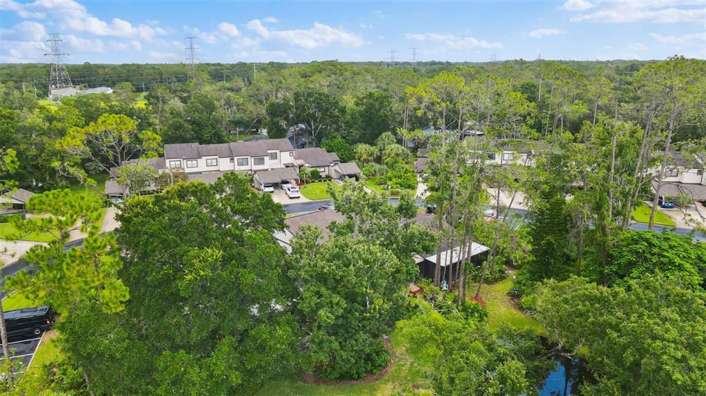 250 Woods Landing Trail Oldsmar, FL 34677 - Photo 42 of 45 an aerial view of multiple house