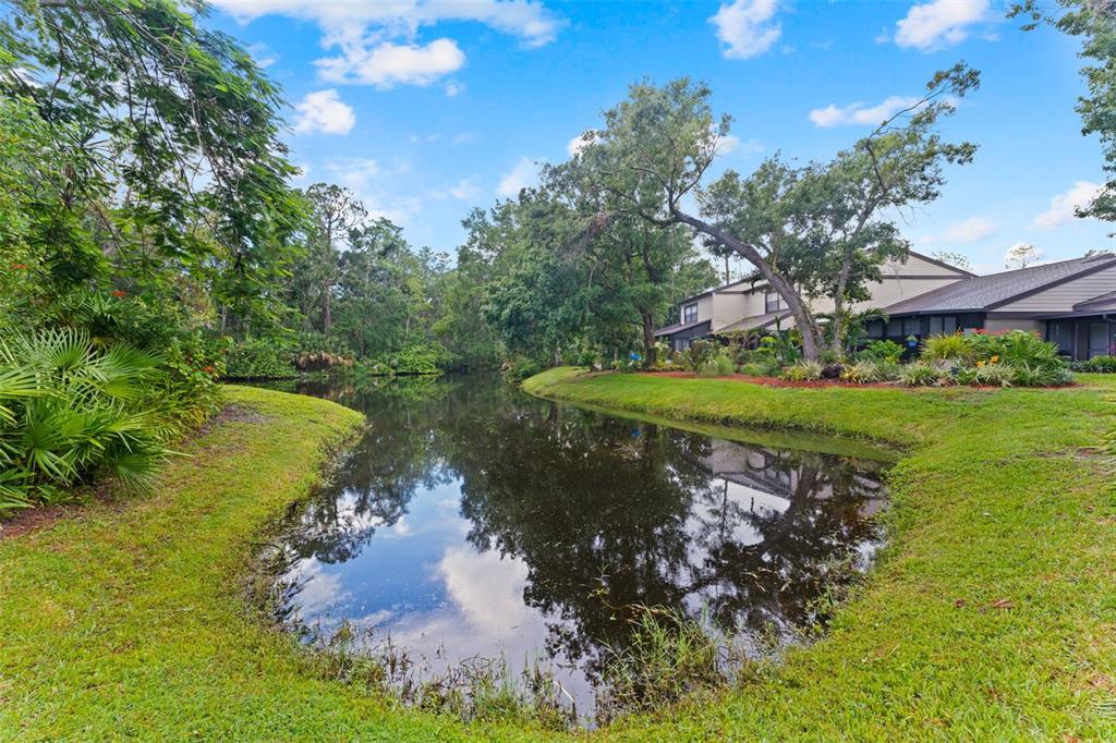 250 Woods Landing Trail Oldsmar, FL 34677 - Photo 43 of 45 a view of a lake with houses