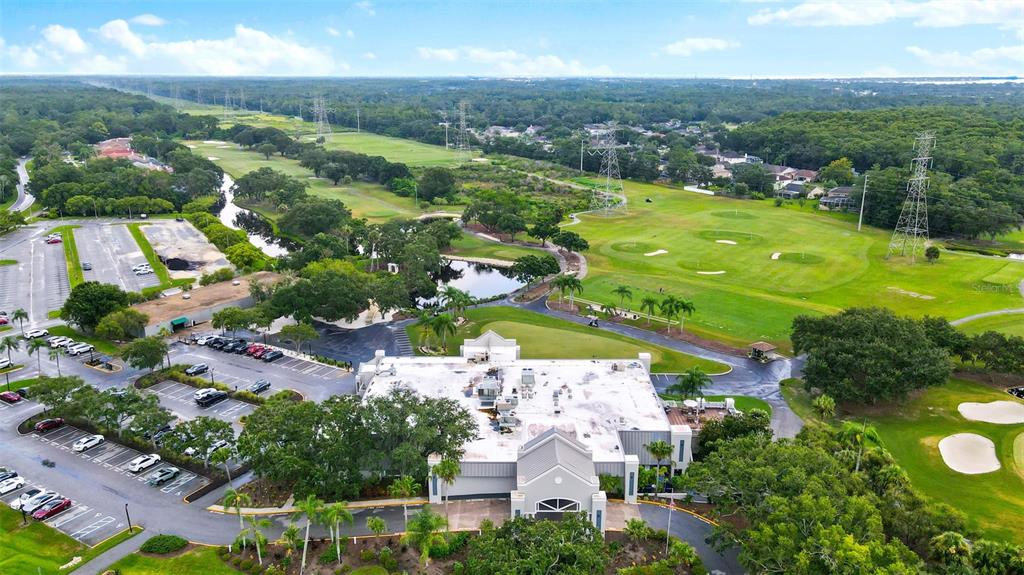 250 Woods Landing Trail Oldsmar, FL 34677 - Photo 45 of 45 an aerial view of residential houses with outdoor space