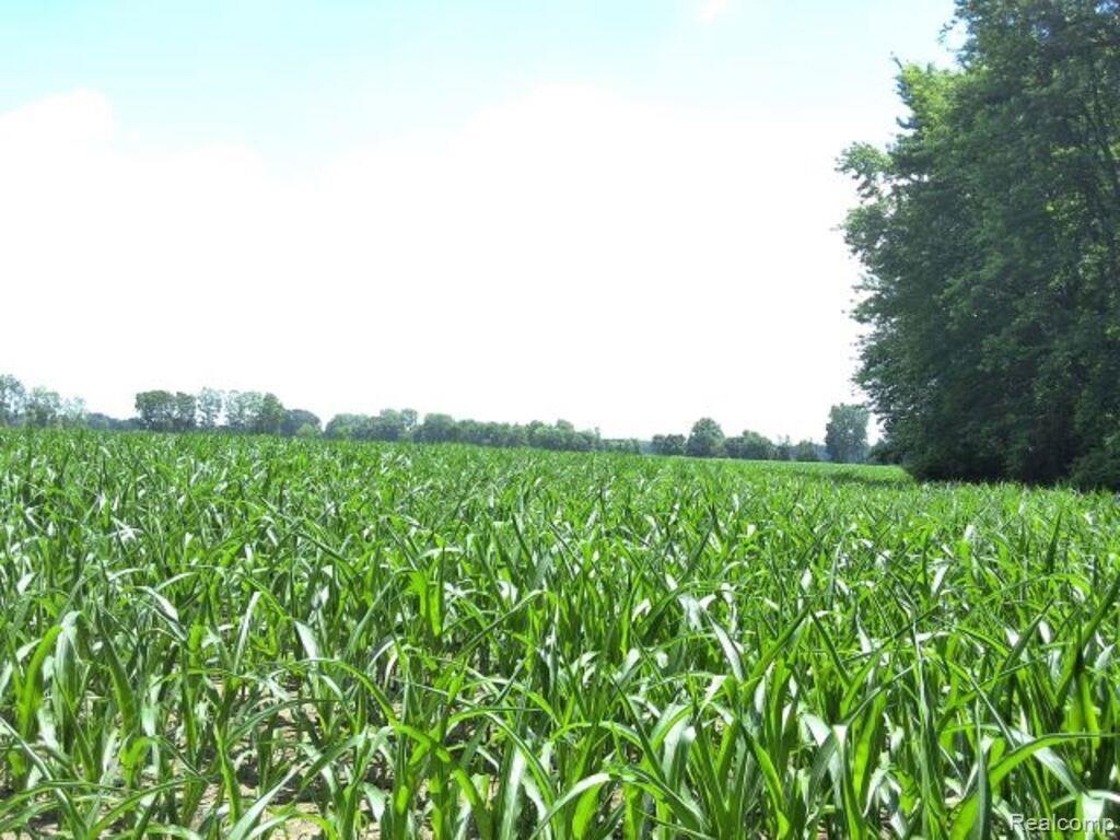 Auction Lot# 5 Auction Road Allenton, MI 48002 - Photo 2 of 4