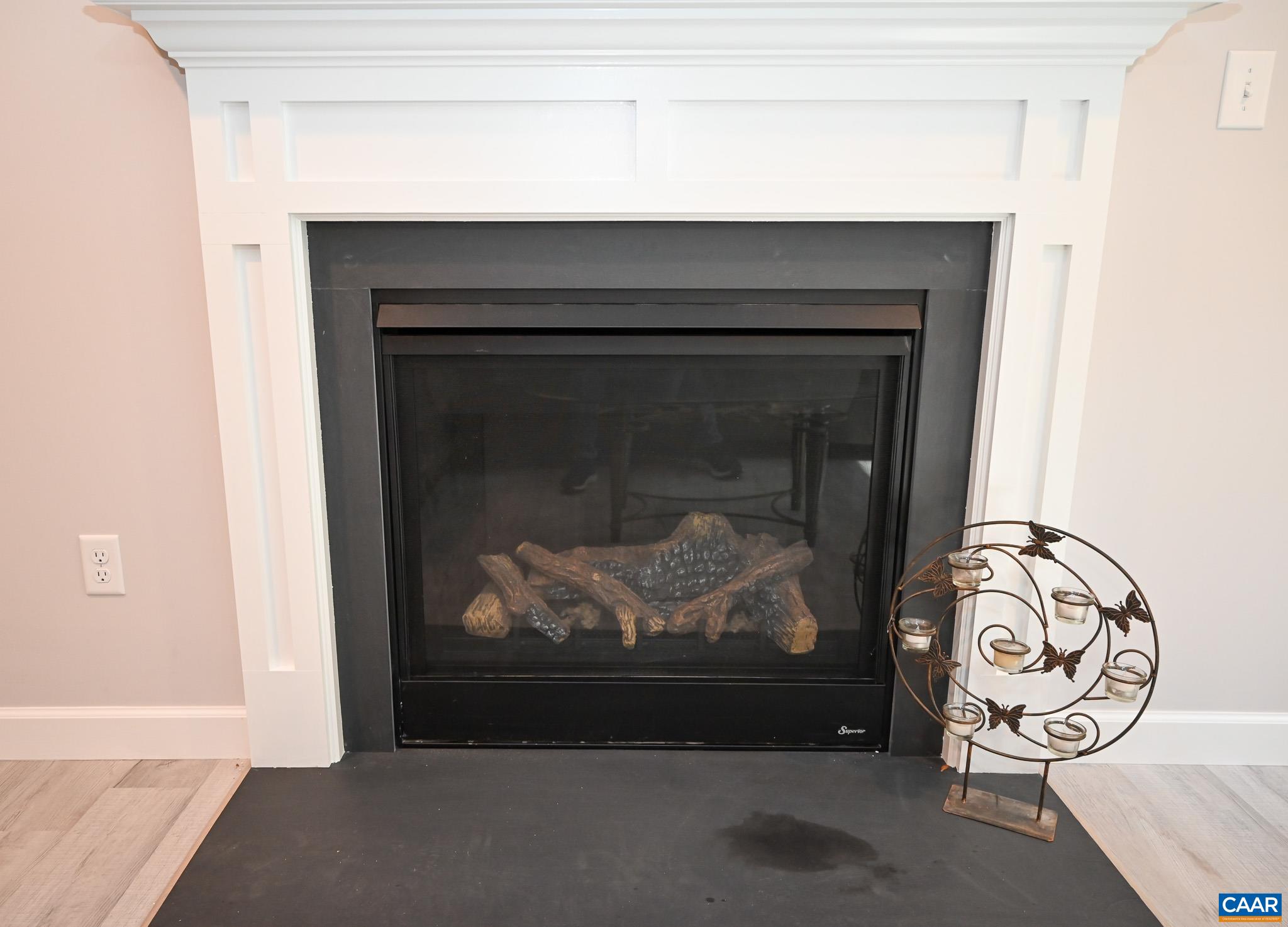 9 Sassafras Road Palmyra, VA 22963 - Photo 8 of 75 Gallery Image 8