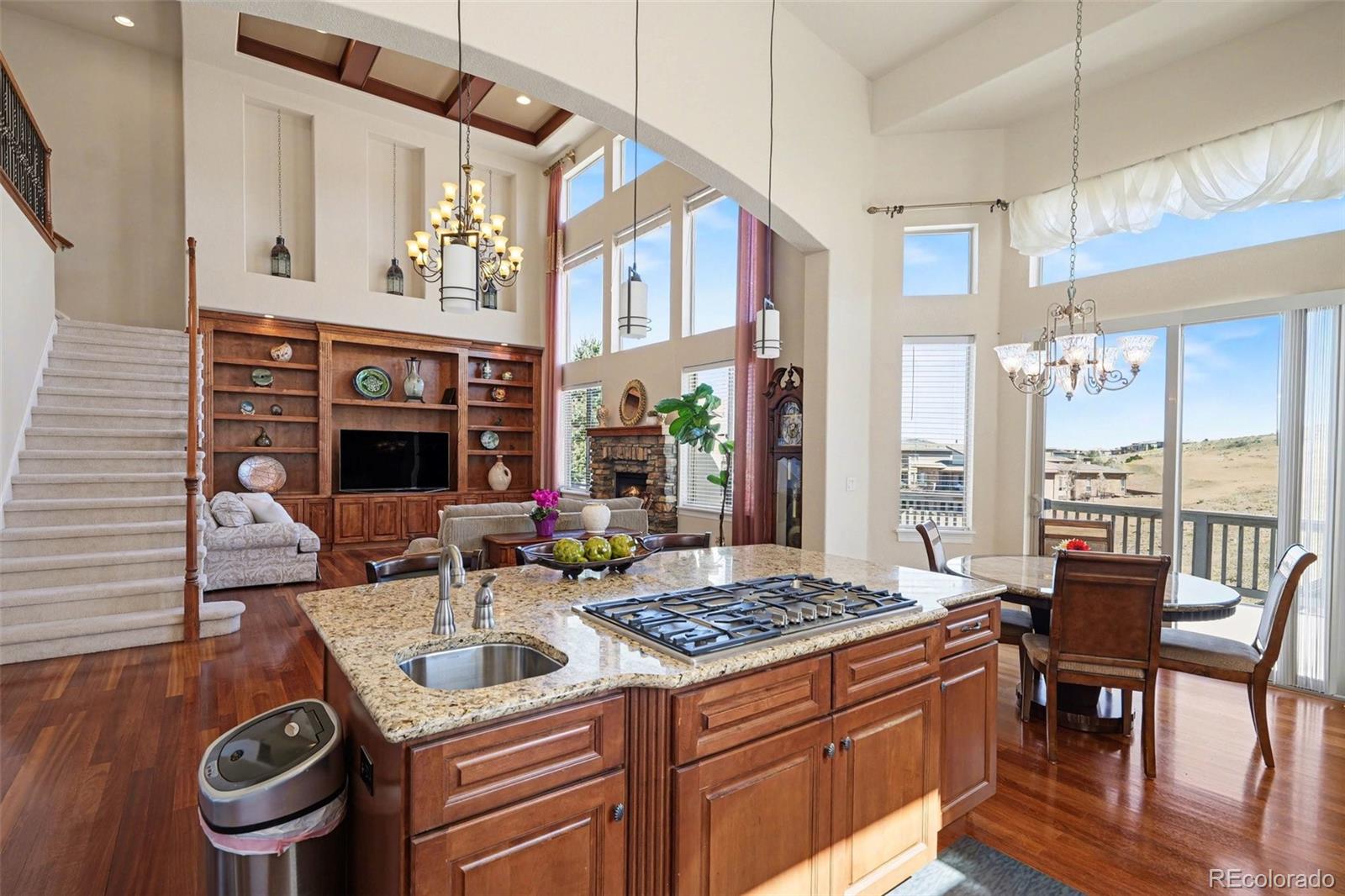 10528 Rivington Court Lone Tree, CO 80124 - Photo 16 of 49