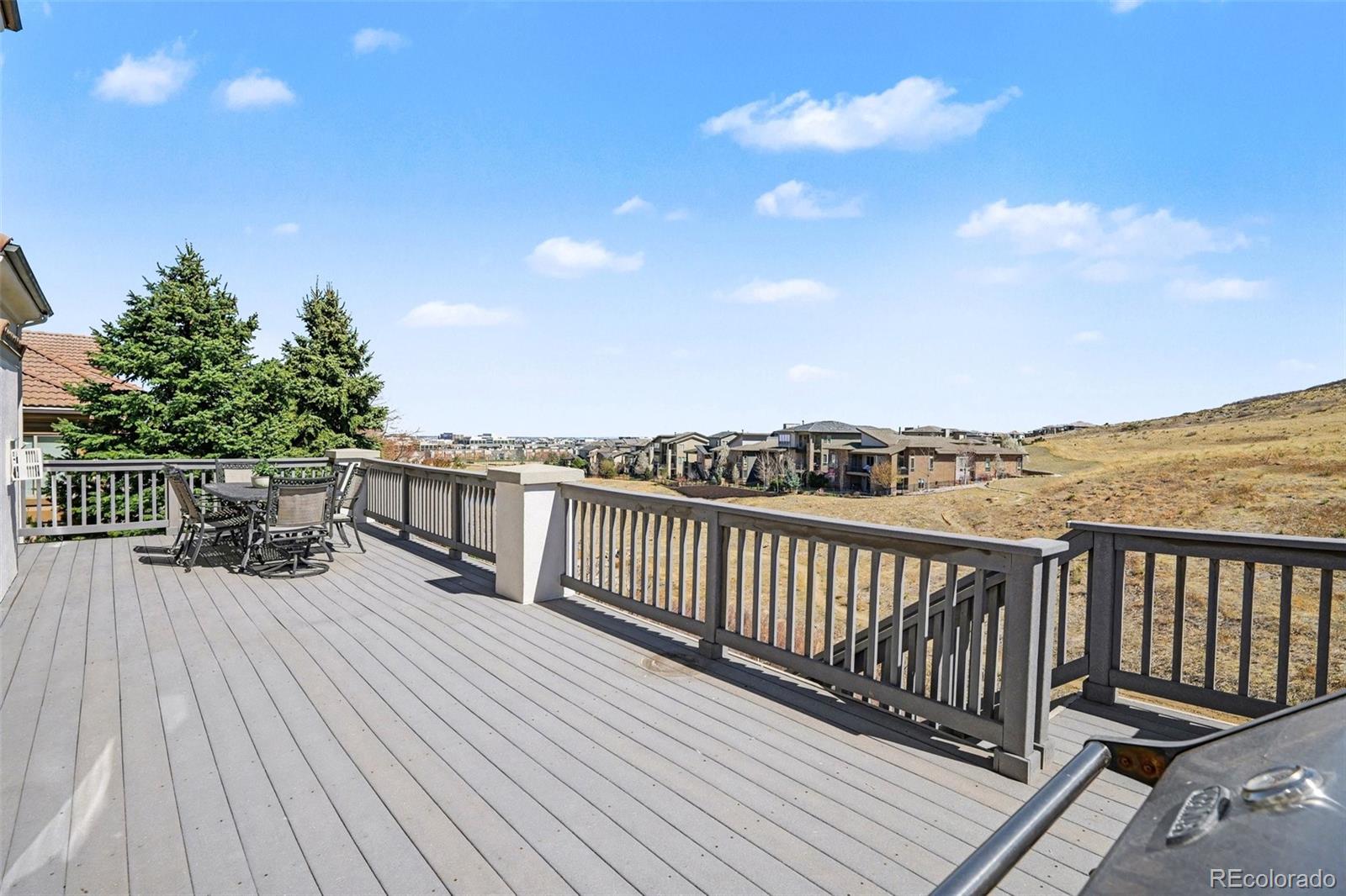 10528 Rivington Court Lone Tree, CO 80124 - Photo 32 of 49