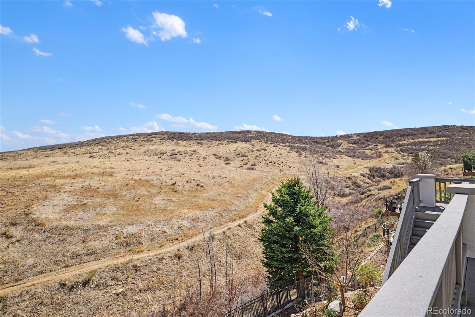 10528 Rivington Court Lone Tree, CO 80124 - Photo 33 of 49